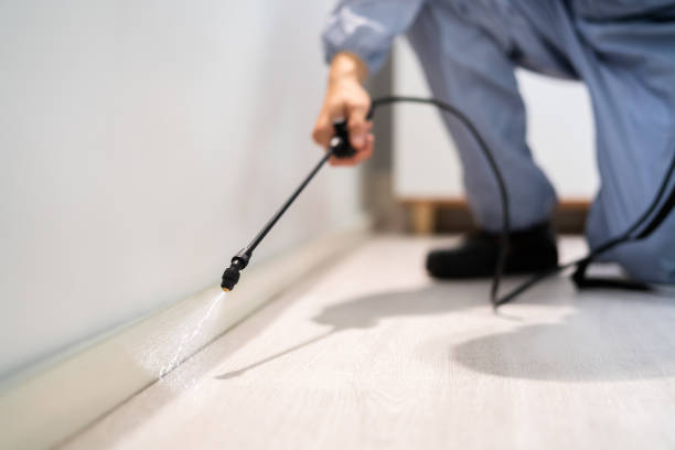 Licensed Rodent Control service in Trinity County County, CA - Nex Pest Control