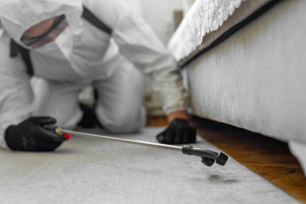 Professional Rodent Control technician working in Trinity County County, CA